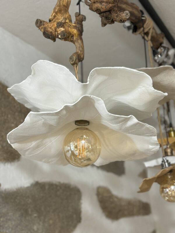Floating Petal