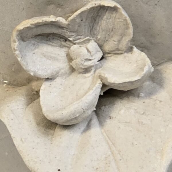 Butterfly Garden - Image 5